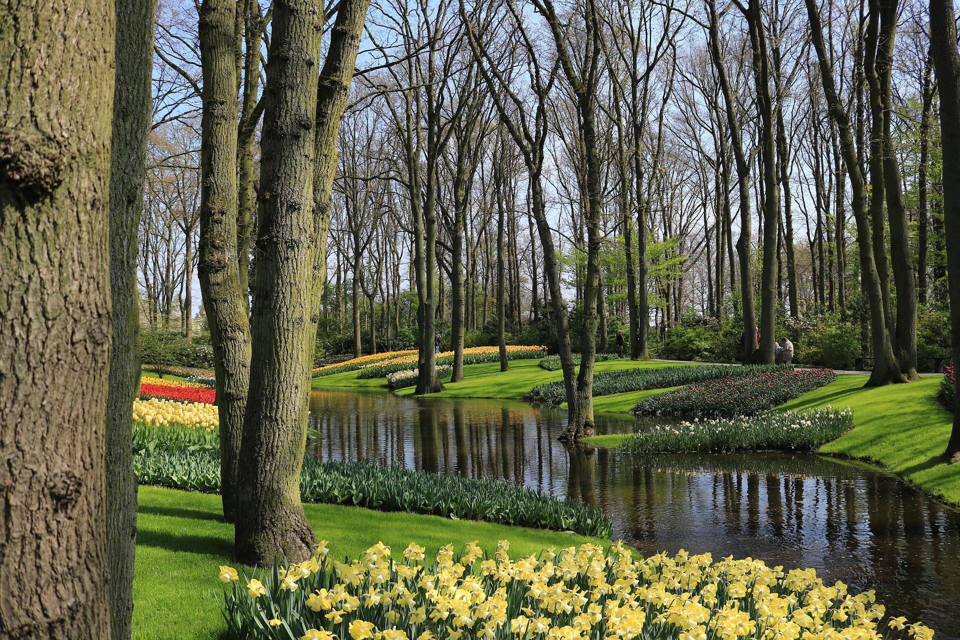 keukenhof_2270575_1920.jpg