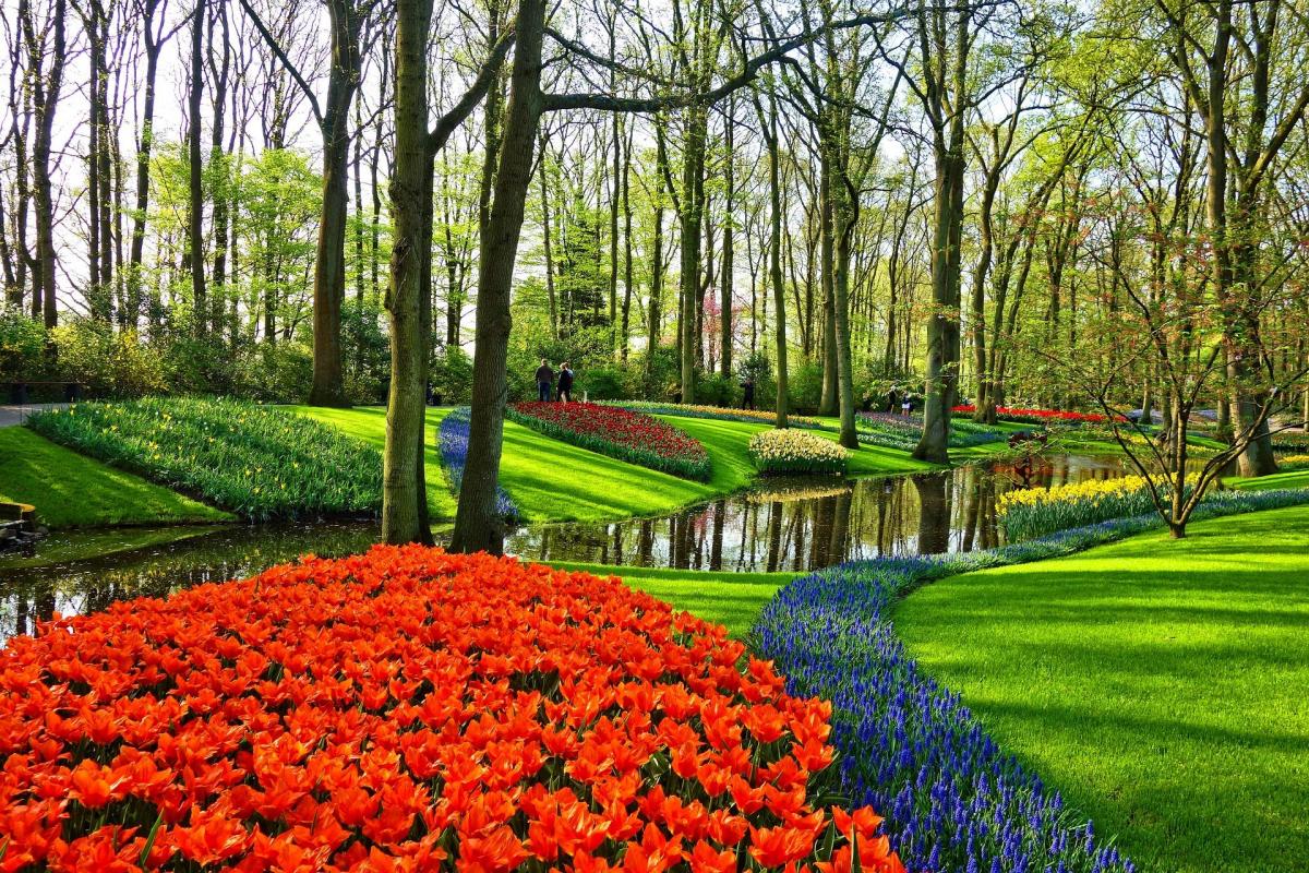 garden_3345970_1920.jpg