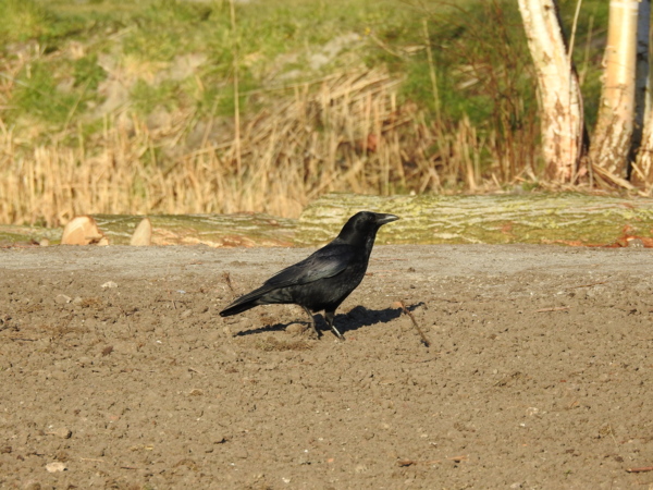 DSCN0231.JPG