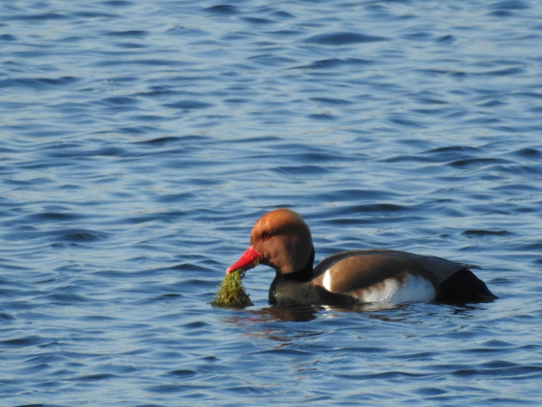 DSCN1517.JPG