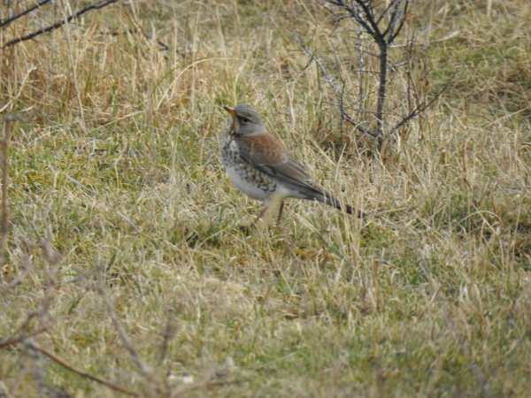 DSCN9886.JPG