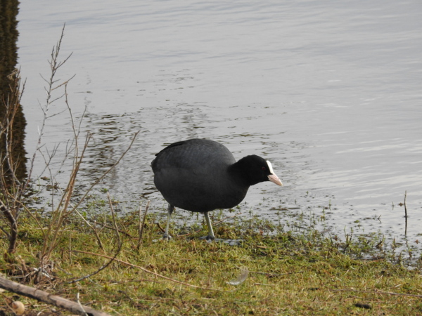DSCN9930.JPG