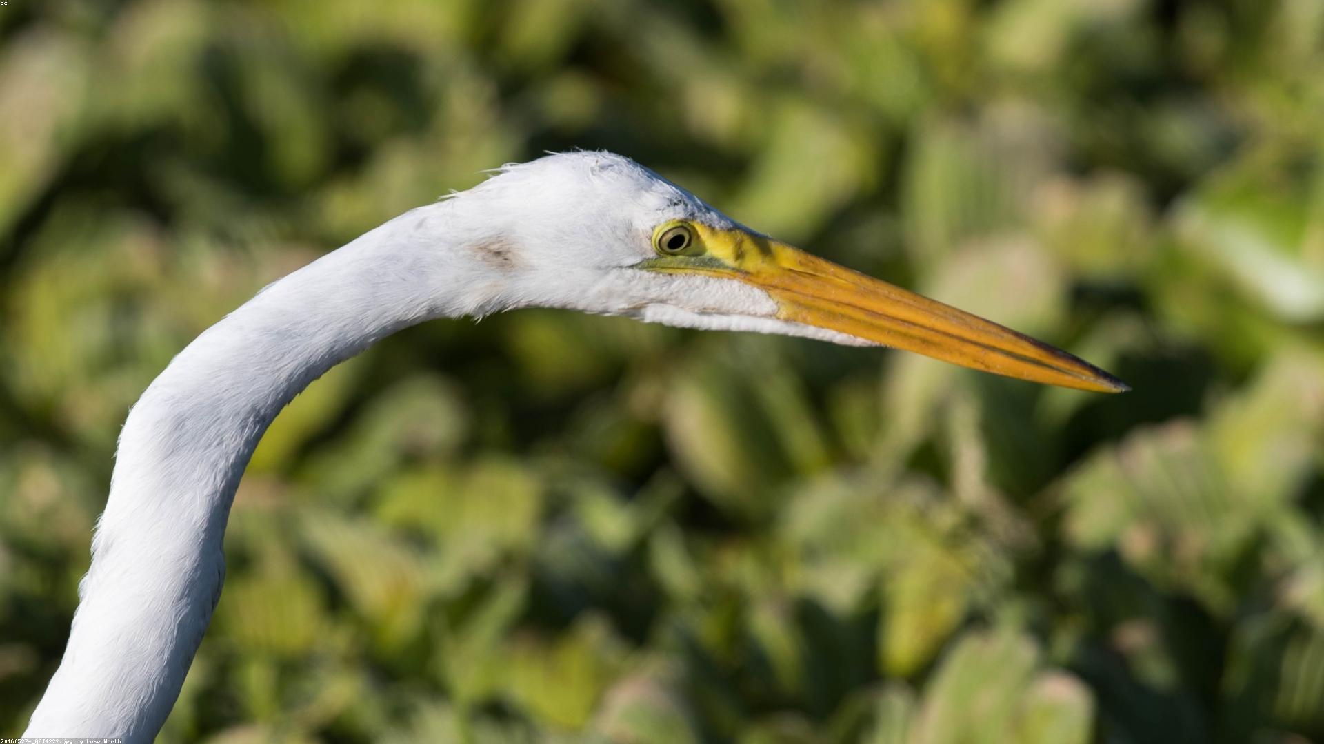 Quis nihil dignissimos